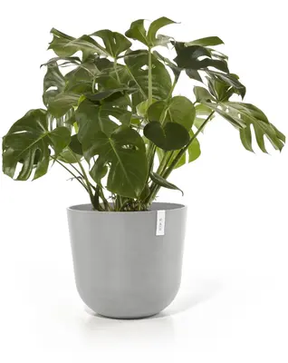 Ecopots kunststof bloempot oslo 55x48.5 cm grijs     - afbeelding 3