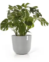 Ecopots kunststof bloempot oslo 55x48.5 cm grijs     - afbeelding 3