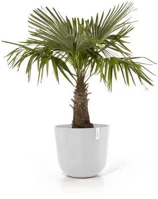 Ecopots kunststof bloempot oslo 55x48.5 cm puurwit - afbeelding 2