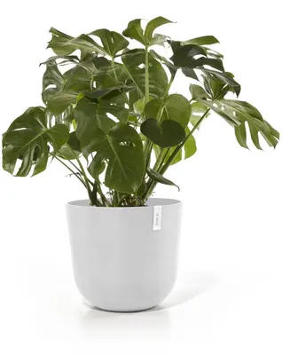 Ecopots kunststof bloempot oslo 55x48.5 cm puurwit - afbeelding 7