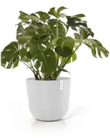Ecopots kunststof bloempot oslo 55x48.5 cm puurwit - afbeelding 7