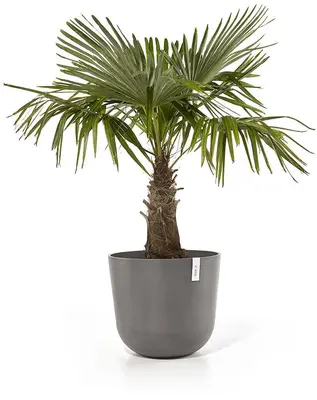 Ecopots kunststof bloempot oslo 55x48.5 cm taupe - afbeelding 3