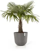 Ecopots kunststof bloempot oslo 55x48.5 cm taupe - afbeelding 3