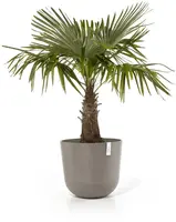 Ecopots kunststof bloempot oslo 55x48.5 cm taupe - afbeelding 2