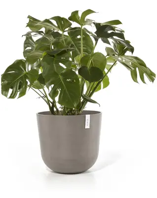 Ecopots kunststof bloempot oslo 55x48.5 cm taupe - afbeelding 9