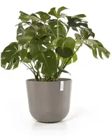 Ecopots kunststof bloempot oslo 55x48.5 cm taupe - afbeelding 9