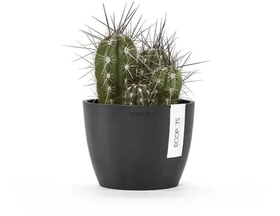Ecopots kunststof bloempot stockholm 16.2x12 cm donkergrijs     - afbeelding 4