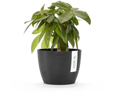 Ecopots kunststof bloempot stockholm 16.2x12 cm donkergrijs     - afbeelding 2