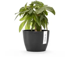 Ecopots kunststof bloempot stockholm 16.2x12 cm donkergrijs     - afbeelding 2