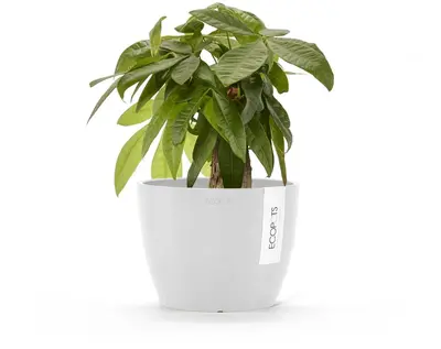 Ecopots kunststof bloempot stockholm 16.2x12 cm puurwit     - afbeelding 2