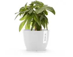 Ecopots kunststof bloempot stockholm 16.2x12 cm puurwit     - afbeelding 2