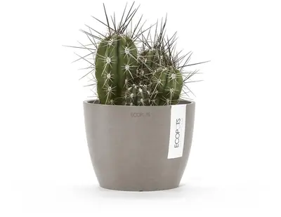 Ecopots kunststof bloempot stockholm 16.2x12 cm taupe     - afbeelding 5