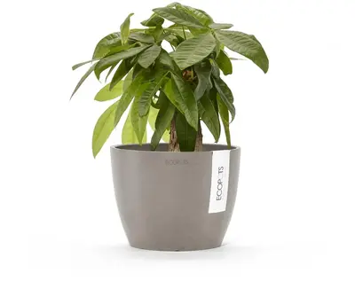 Ecopots kunststof bloempot stockholm 16.2x12 cm taupe     - afbeelding 2