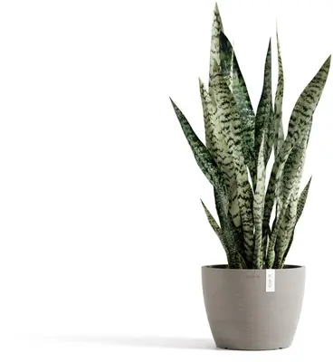 Ecopots kunststof bloempot stockholm 23.3x17.6 cm taupe     - afbeelding 5