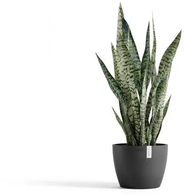 Ecopots kunststof bloempot stockholm 23x17.6 cm donkergrijs     - afbeelding 2