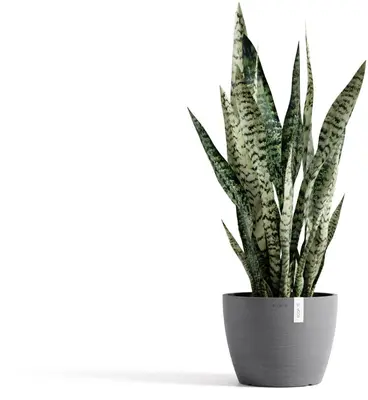 Ecopots kunststof bloempot stockholm 23x17.6 cm grijs     - afbeelding 6