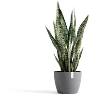 Ecopots kunststof bloempot stockholm 23x17.6 cm grijs     - afbeelding 6