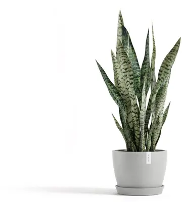 Ecopots kunststof bloempot stockholm 23x17.6 cm witgrijs     - afbeelding 2