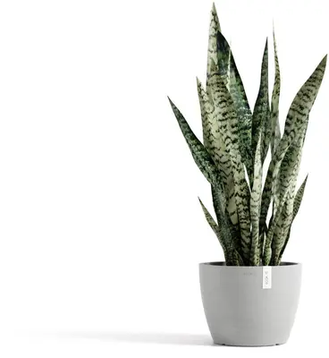 Ecopots kunststof bloempot stockholm 23x17.6 cm witgrijs     - afbeelding 6