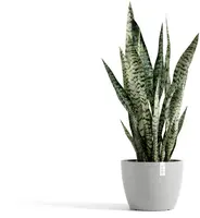 Ecopots kunststof bloempot stockholm 23x17.6 cm witgrijs     - afbeelding 6