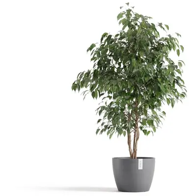 Ecopots kunststof bloempot stockholm 31x23.3 cm grijs     - afbeelding 2
