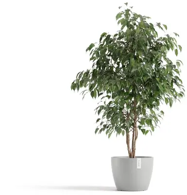 Ecopots kunststof bloempot stockholm 31x23.3 cm witgrijs     - afbeelding 2