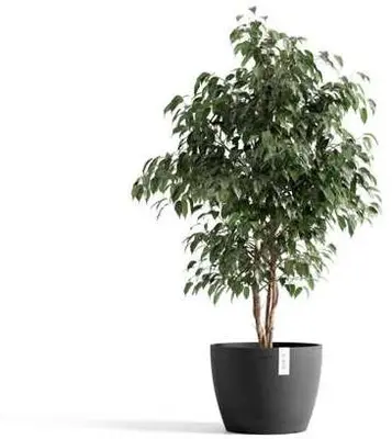 Ecopots kunststof bloempot stockholm 31x23.5 cm donkergrijs     - afbeelding 2