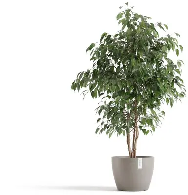 Ecopots kunststof bloempot stockholm 31x23.5 cm taupe     - afbeelding 2