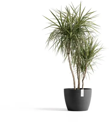 Ecopots kunststof bloempot stockholm 40x30 cm donkergrijs     - afbeelding 2