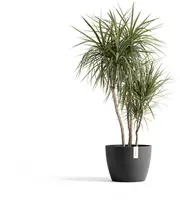 Ecopots kunststof bloempot stockholm 40x30 cm donkergrijs     - afbeelding 2