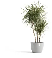 Ecopots kunststof bloempot stockholm 40x30 cm witgrijs     - afbeelding 2