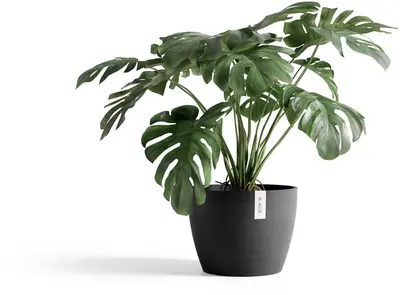 Ecopots kunststof bloempot stockholm 45x34 cm donkergrijs     - afbeelding 2