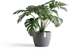 Ecopots kunststof bloempot stockholm 45x34 cm grijs     - afbeelding 2
