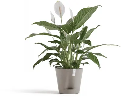 Ecopots kunststof bloempot venice 2 20x17.1 cm taupe     - afbeelding 2