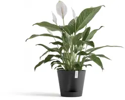 Ecopots kunststof bloempot venice 2 20x17.7 cm donkergrijs     - afbeelding 2