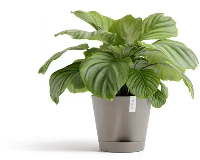 Ecopots kunststof bloempot venice 2 30x27.5 cm taupe     - afbeelding 2