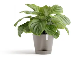 Ecopots kunststof bloempot venice 2 30x27.5 cm taupe     - afbeelding 2