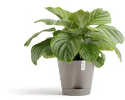 Ecopots kunststof bloempot venice 2 30x27.5 cm taupe     - afbeelding 5