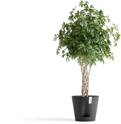 Ecopots kunststof bloempot venice 2 40.2x35.7 cm donkergrijs     - afbeelding 4