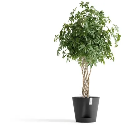 Ecopots kunststof bloempot venice 2 40.2x35.7 cm donkergrijs     - afbeelding 2