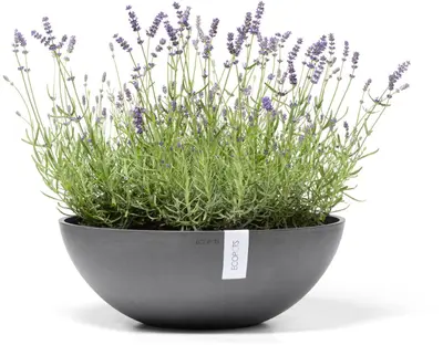 Ecopots kunststof bloempot vienna 50x18 cm grijs     - afbeelding 2