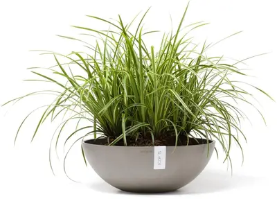 Ecopots kunststof bloempot vienna 50x18 cm taupe     - afbeelding 6