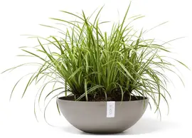 Ecopots kunststof bloempot vienna 50x18 cm taupe     - afbeelding 6