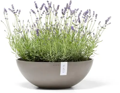 Ecopots kunststof bloempot vienna 50x18 cm taupe     - afbeelding 2