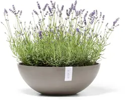 Ecopots kunststof bloempot vienna 50x18 cm taupe     - afbeelding 2