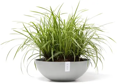 Ecopots kunststof bloempot vienna 50x18 cm witgrijs     - afbeelding 5