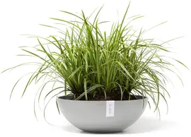 Ecopots kunststof bloempot vienna 50x18 cm witgrijs     - afbeelding 5
