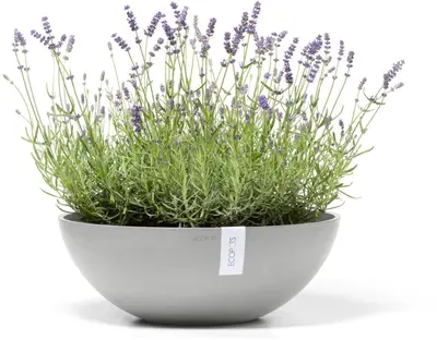 Ecopots kunststof bloempot vienna 50x18 cm witgrijs     - afbeelding 6