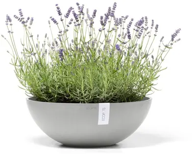 Ecopots kunststof bloempot vienna 50x18 cm witgrijs     - afbeelding 3