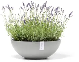 Ecopots kunststof bloempot vienna 50x18 cm witgrijs     - afbeelding 3